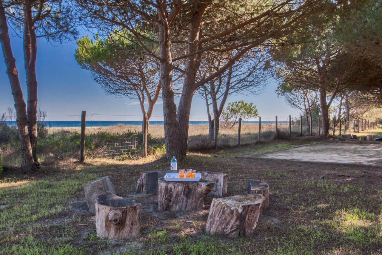 Maisons Bord De Mer- Marine De Sorbo - Gites 3 Epis Pinarellu Εξωτερικό φωτογραφία