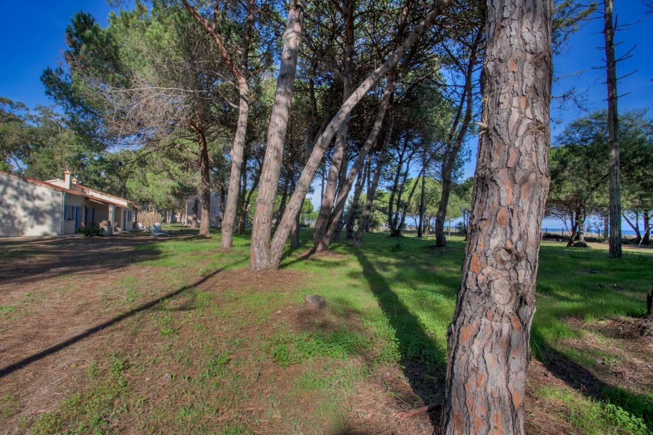 Maisons Bord De Mer- Marine De Sorbo - Gites 3 Epis Pinarellu Εξωτερικό φωτογραφία