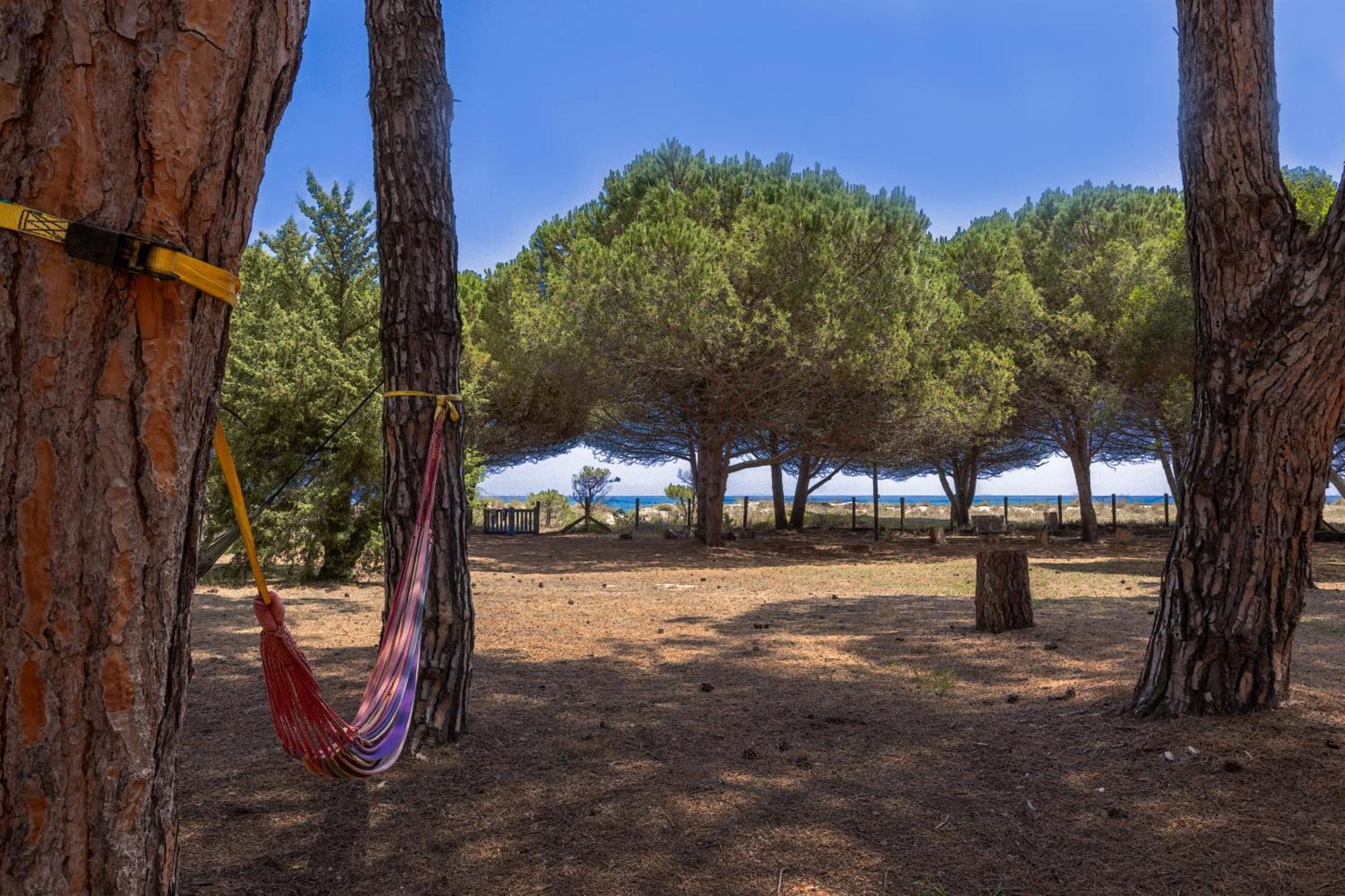 Maisons Bord De Mer- Marine De Sorbo - Gites 3 Epis Pinarellu Εξωτερικό φωτογραφία